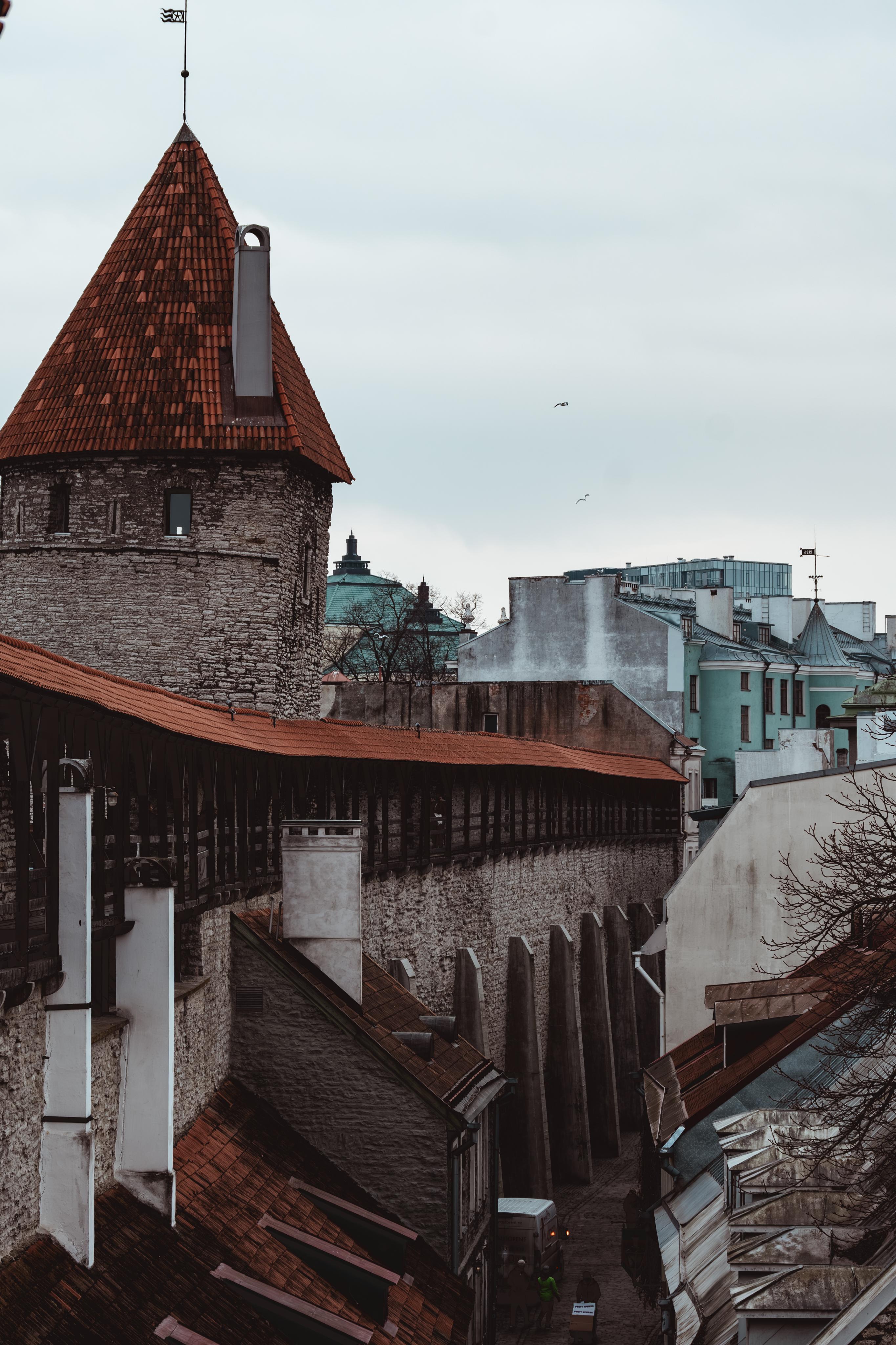 Photo 50
